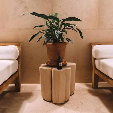 Hemen Saint-Palais-sur-Mer