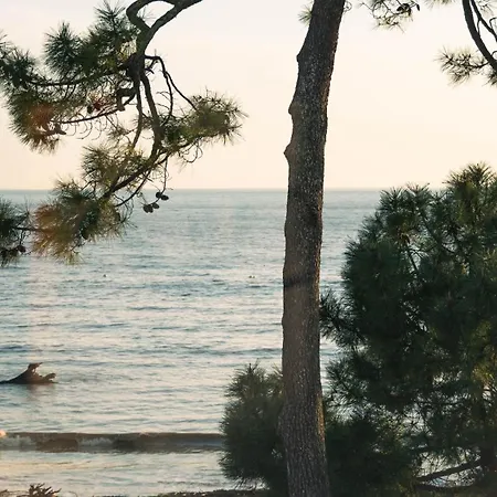 Hemen 5* Saint-Palais-sur-Mer